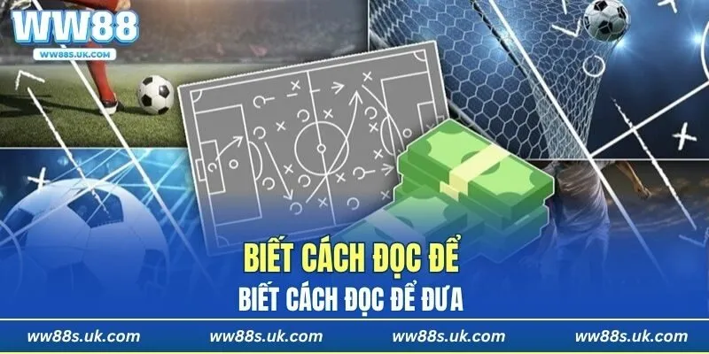 Biết cách đọc để đưa ra nhận định chính xác