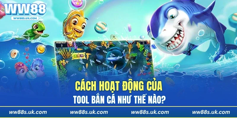 Cách hoạt động của tool bắn cá như thế nào?