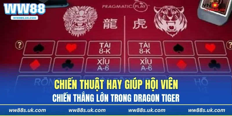Chiến thuật hay giúp hội viên chiến thắng lớn trong Dragon Tiger