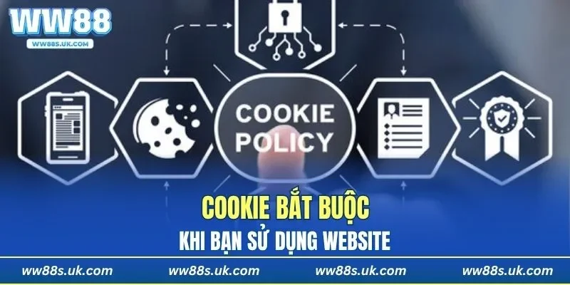 Cookie bắt buộc khi truy cập website