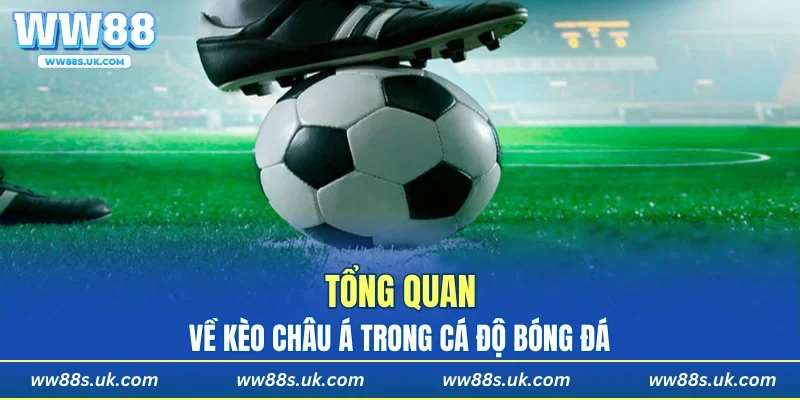 Hiểu tổng quan về kèo bóng châu Á