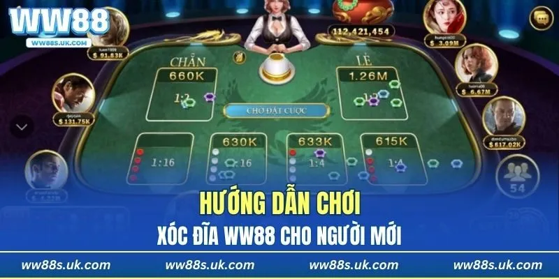 Hướng dẫn chơi xóc đĩa WW88 cho người mới