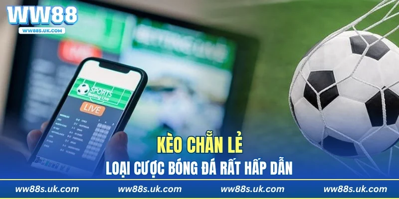 Kèo chẵn lẻ là loại cược bóng đá rất hấp dẫn