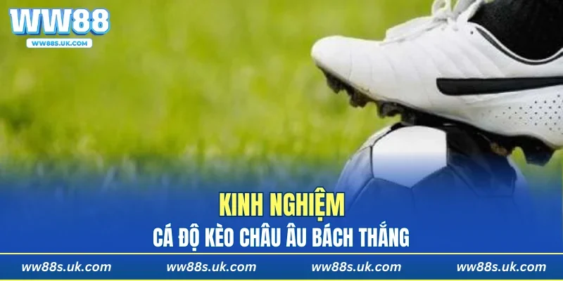 Kinh nghiệm cá độ bách thắng từ chuyên gia