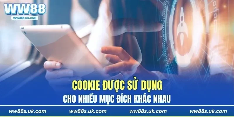 Mục đích sử dụng trình lưu trữ dữ liệu của chúng tôi