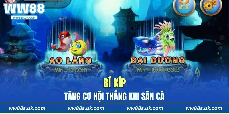 Những bí kíp tăng cơ hội thắng kho báu long cung
