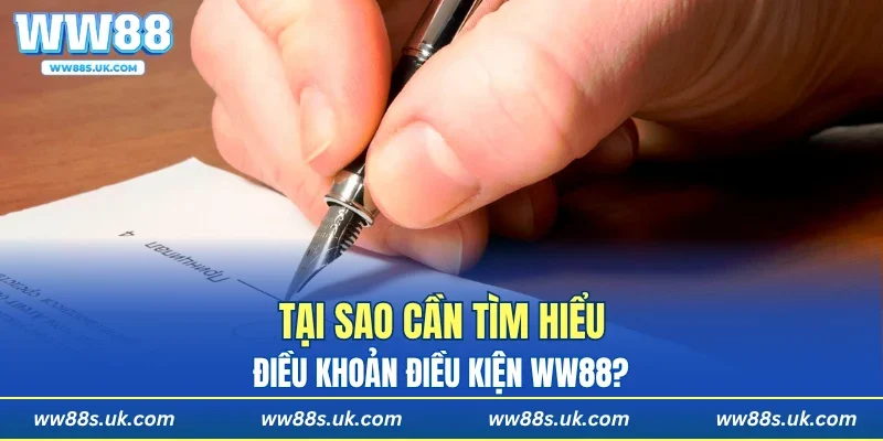 Tại sao cần tìm hiểu điều khoản điều kiện WW88?