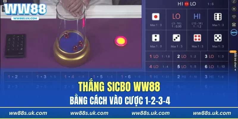 Thắng Sicbo WW88 bằng cách vào cược 1-2-3-4