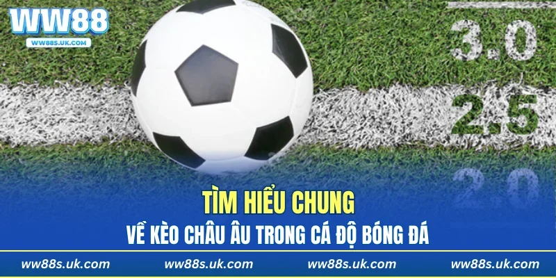 Tìm hiểu chung về kèo bóng châu Âu